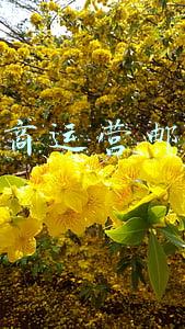跨境电商运营邮件格式