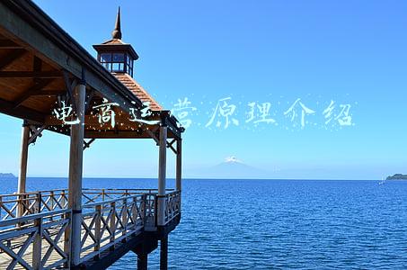 电商运营员工手册(2018版电商运营管理手册，组织架构，岗位职责，绩效评定全覆盖)