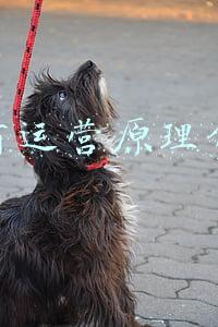 电商运营原理介绍
