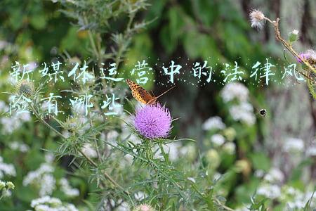 新媒体法律风险(媒体：虚拟人也应恪守法律与伦理规则)