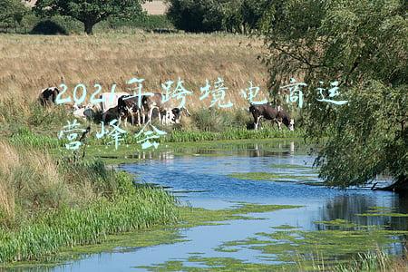 2021年跨境电商运营峰会