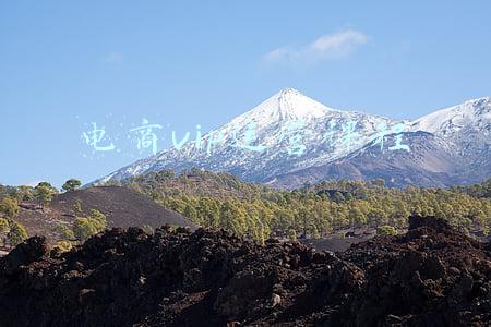 电商vip课程分享(如何正确选择对接电商类会员权益？)