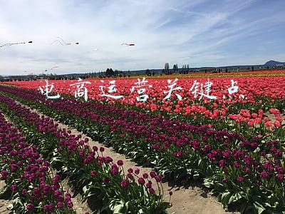 电商运营最关键的两个节点(掌握活动节点找到爆款路径)