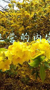 电商运营的内容推广