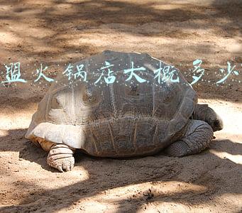 投资干洗店需要多少成本_开个干洗店大概多少钱