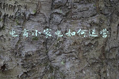 国家电投e购电商平台(仝金正：国能e购加速国家能源集团数字化转型)