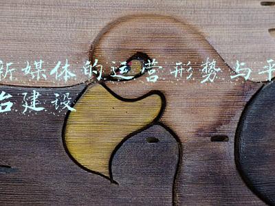 新媒体的运营形势与平台建设