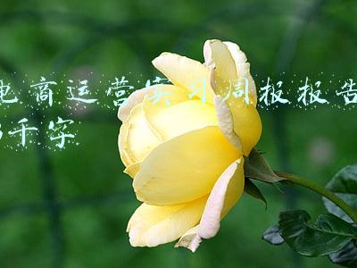 电商运营实习周报报告3千字