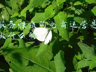 运营合同是什么性质(环境第三方治理中的契约规治问题)