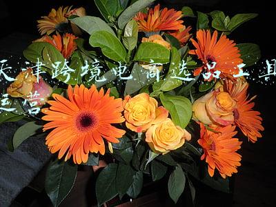 跨境电商平台选品(史上最全跨境电商选品教程（上）)
