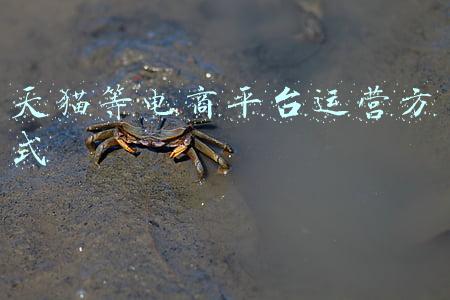 天猫等电商平台运营方式