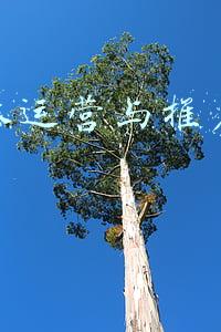 新媒体概论思维导图(新媒体运营师运营知识图谱)