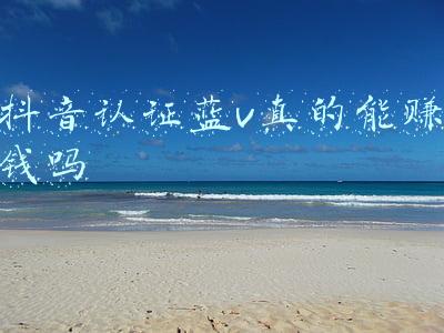抖音开通蓝v要钱吗(【抖音\u0026#34;蓝V认证\u0026#34;免费了！其实你要的真的不多】)