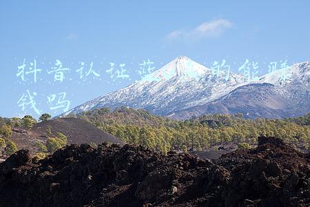 抖音的蓝v认证需要花钱通过吗(超级福利！抖音蓝V认证帮您免费搞定！直接省600)