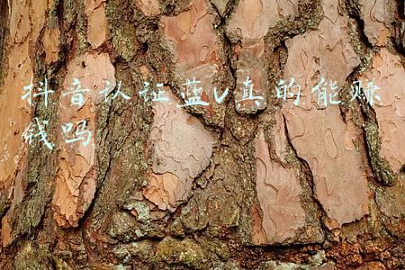 抖音蓝v认证官网(抖音蓝V认证流程，抖音官网链接制作，都在这里建议收藏起来)