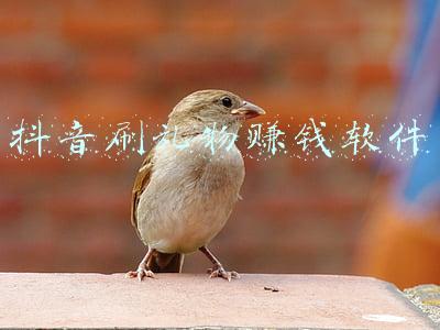 抖音刷礼物赚钱是真的吗(警惕“刷礼物”！宁乡一男子抖音直播被骗数万元)
