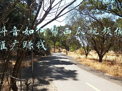 抖音如何帮西瓜视频做推广赚钱