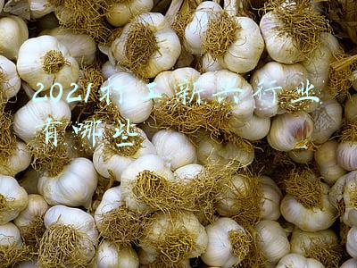 2022年新兴行业有哪些(2022年最热门的15项技术｜mRNA技术高歌猛进)