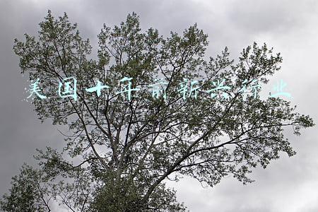 美国十年前新兴行业