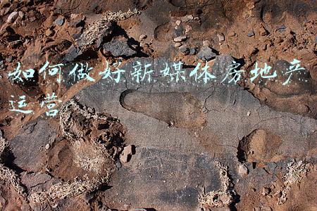如何做好新媒体宣传工作(新媒体时代下如何做好教育新闻宣传？一线记者现场交流支招)