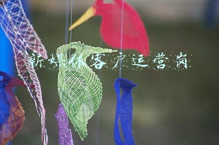 新媒体客户运营岗