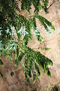 融媒体中心经验做法(县级融媒体中心如何成为枢纽？这届年会给出这些经验)
