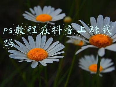 ps抖音logo制作教程(手把手教你用CoreIDRAW设计抖音图标)
