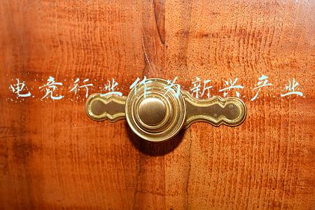 电竞行业市场分析(中国成为全球电竞产业最大单一市场——电竞产业崛起 新赛道发展何处去)