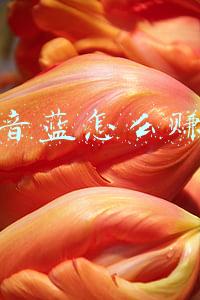 抖音蓝怎么赚钱