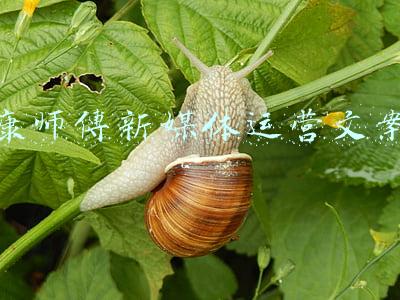 康师傅新媒体运营文案