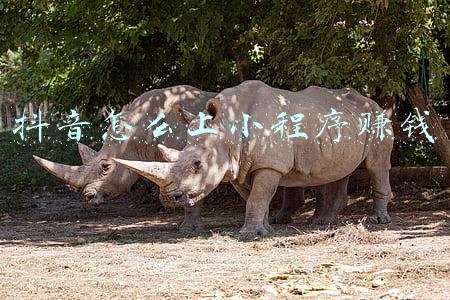 抖音小程序怎么挣钱(微信小程序如何盈利？)