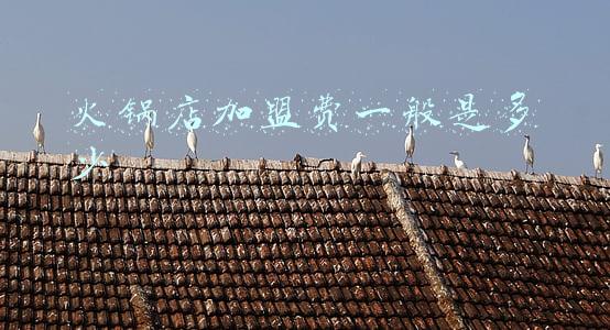 火锅店加盟大概多少钱火锅店加盟，加盟火锅店加盟费多少钱