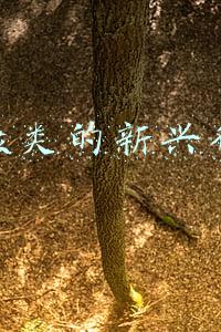 健康类的新兴行业