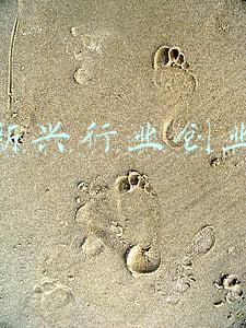乡村新兴行业创业项目