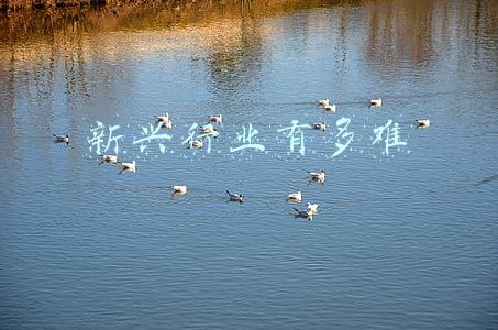 新兴行业有多难