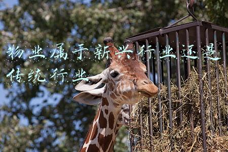 物业属于新兴行业还是传统行业