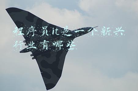 程序员it是一个新兴行业有哪些