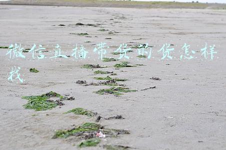 微信直播带货怎么开通(快来，帮你一分钟了解微信的直播方式)
