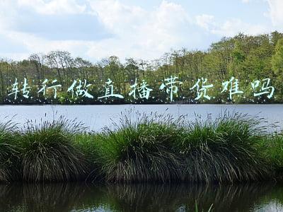 转行做直播带货难吗