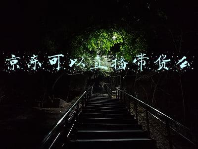 京东可以直播带货吗(直播带货席卷电商圈，618京东直播交出了一份另类答卷)