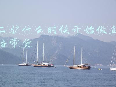 乡村驴货傻小子(民间故事傻子买驴)