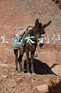 小本生意大利润分析
