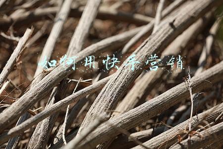 如何用快手直播电脑屏幕(快手分屏钓鱼直播，原来实现起来就这么简单)