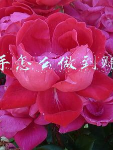快手怎么做到赚钱