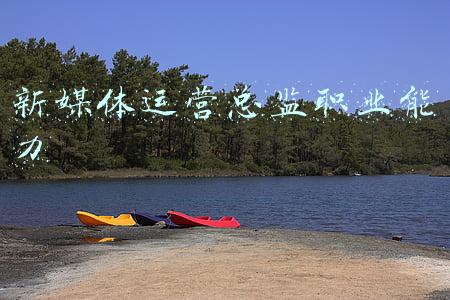 新媒体运营总监职业能力