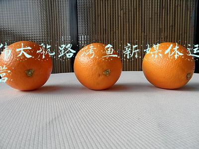 伟大航路烤鱼新媒体运营