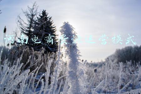 电商无货源模式(看了这篇文章，你会知道原来“无货源电商”如此简单)