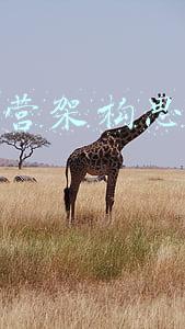 电商运营架构思维导图图