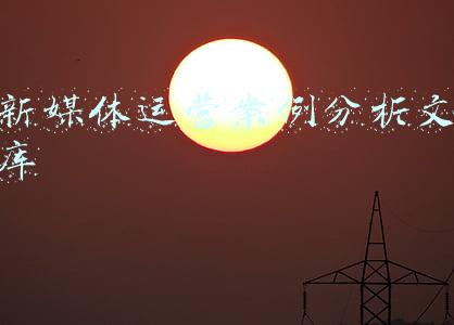 新媒体营销案例分析ppt(2021百度营销通案全套免费ppt)