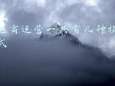电商运营一共有几种模式